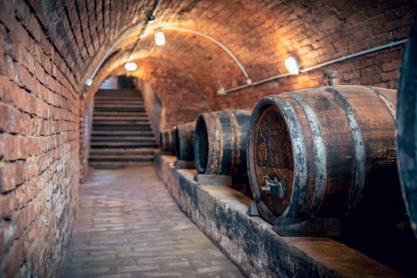 Weinfass-Chalet für 4 in Grub an der March - foto 16