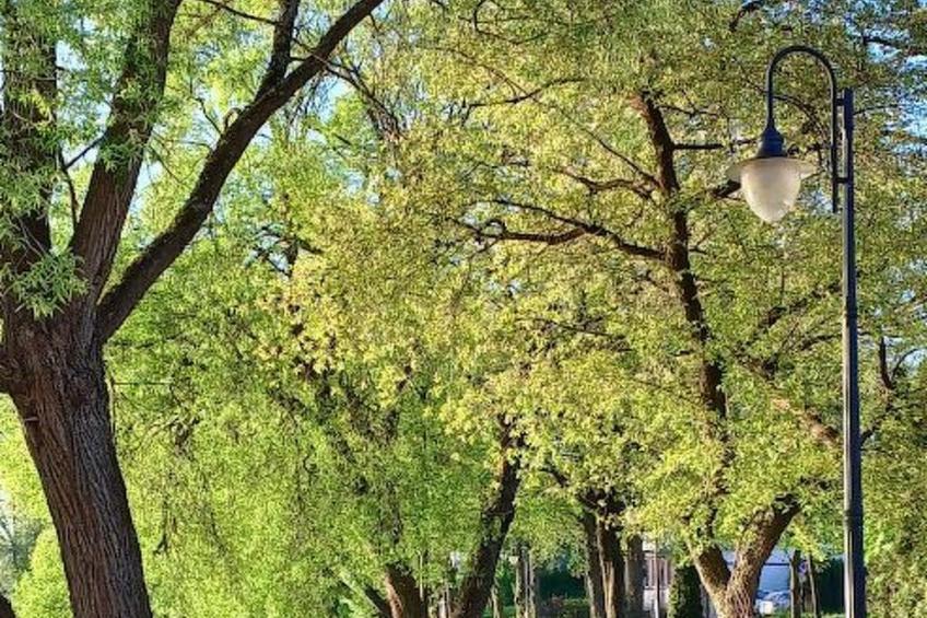 Holzhäuschen in der Kaschubei - foto 12