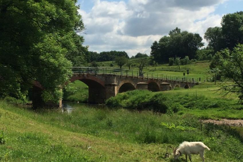 Pleissenhaus - foto 25