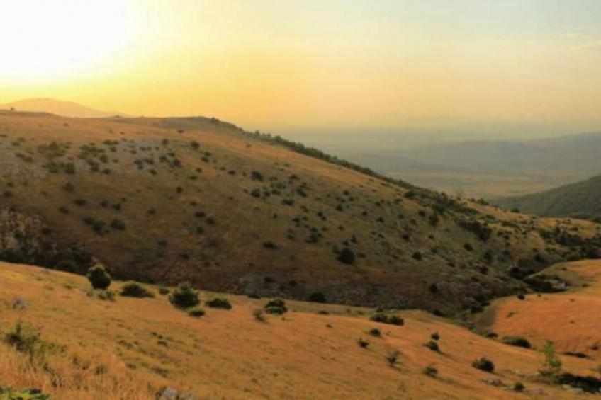 Apartment and Room Mare Vrlika -  Double Bedroom  with Terrace and External Kitchenette - foto 5