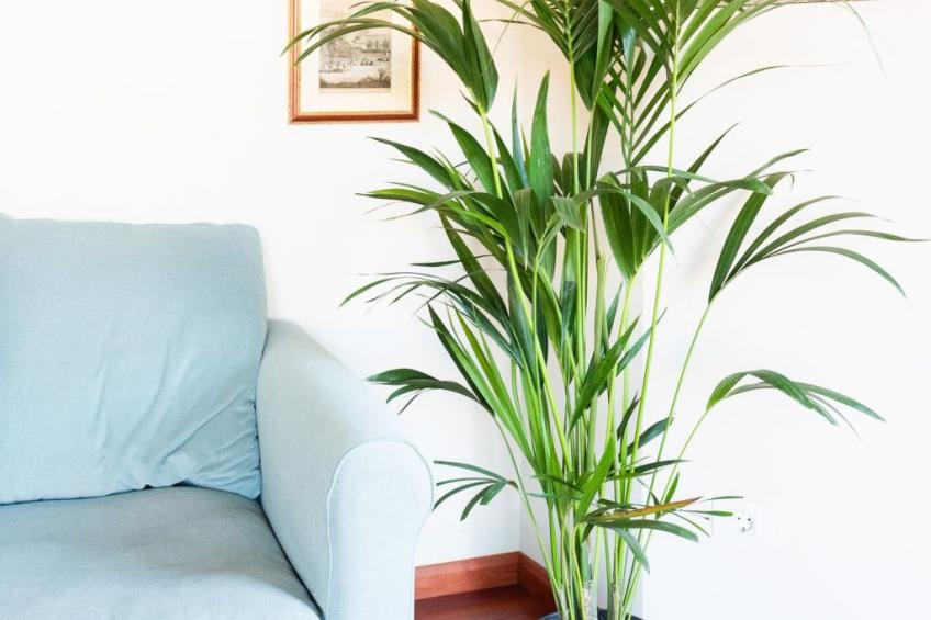 Wunderschöne Villa in einer einzigartigen natürlichen Umgebung - foto 38