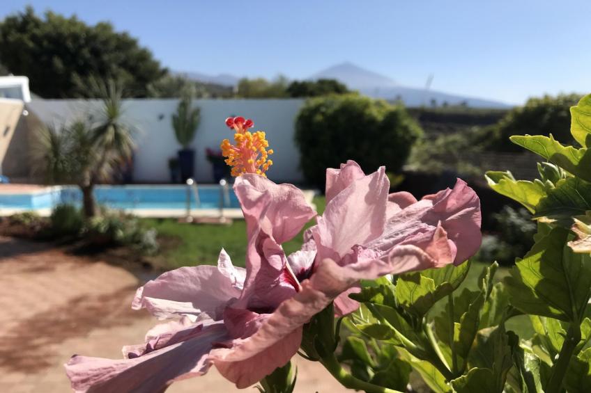 Haus "Maria" mit eigenem Schwimmbad - foto 8