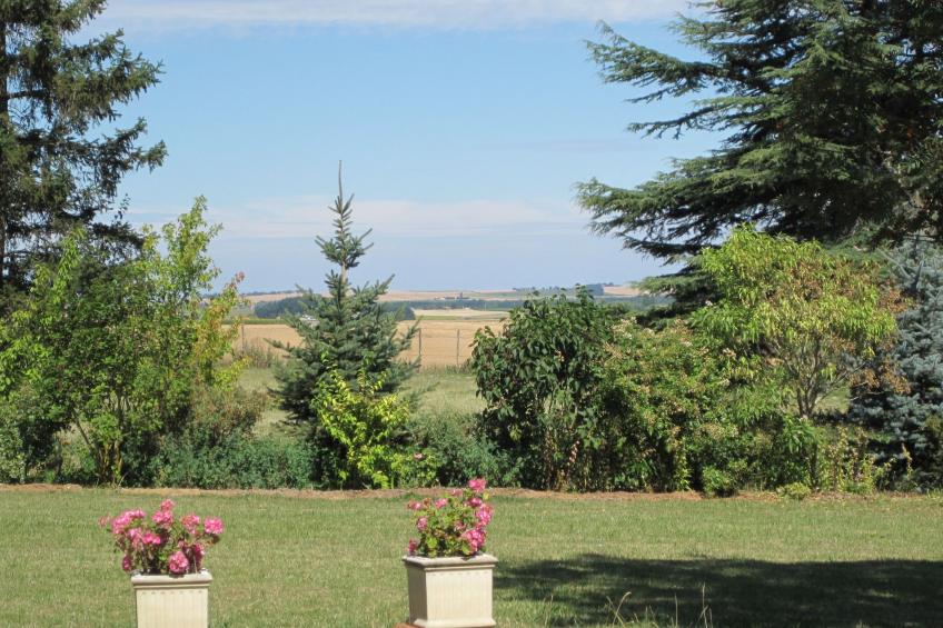 Die Linden - foto 14