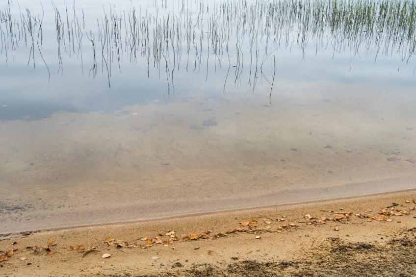 Pähkinä - foto 35