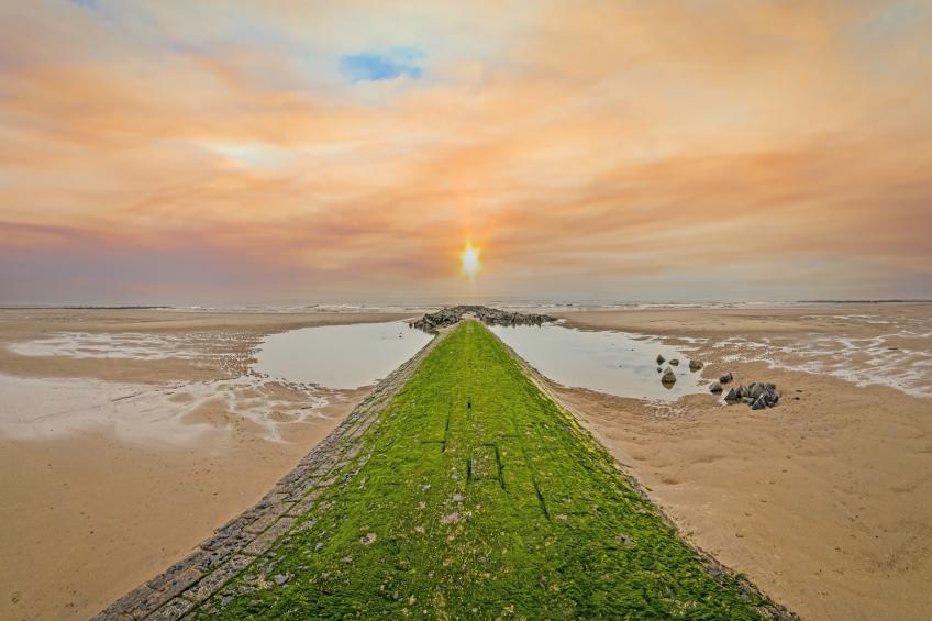 Baros 0001 - foto 20