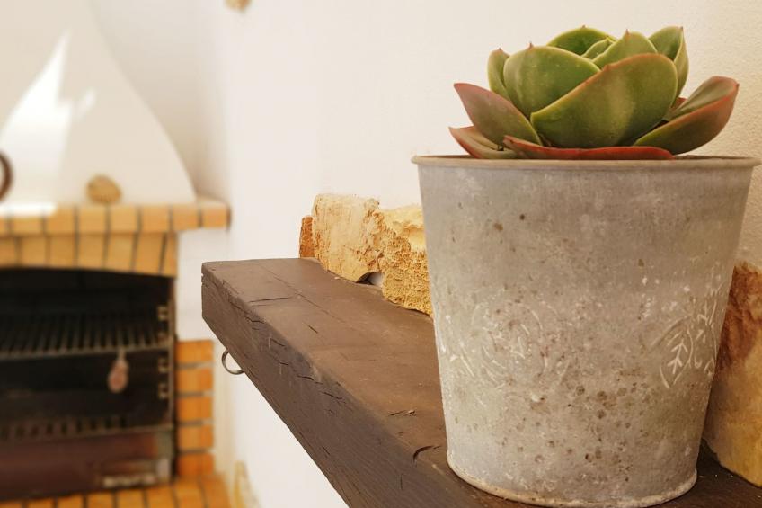 "Estrelinha da Fuzeta" - foto 3