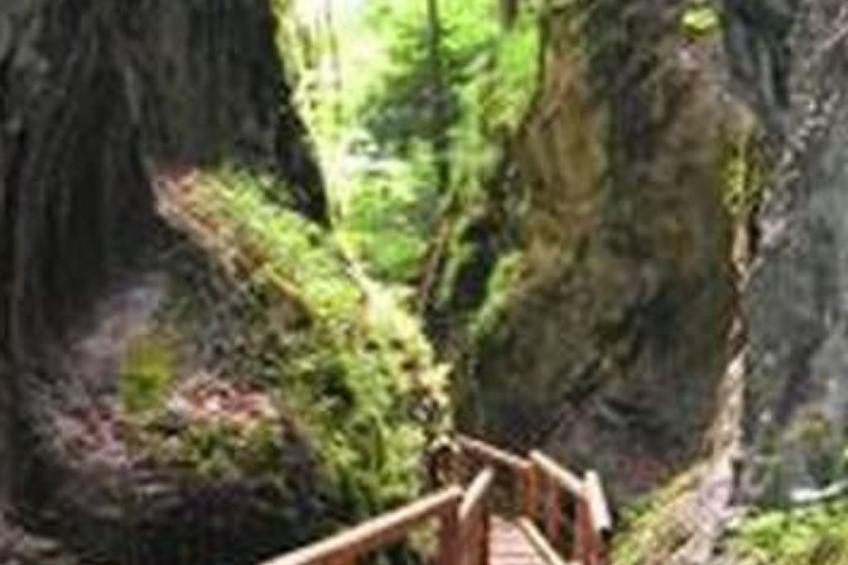 FEWO Gartenblick - foto 30