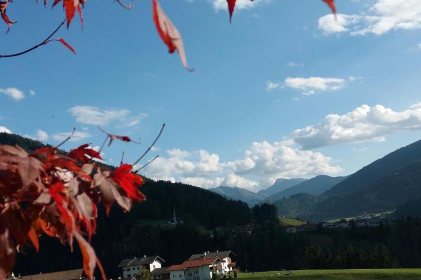 Ferienhaus Gassner in Navis - foto 8