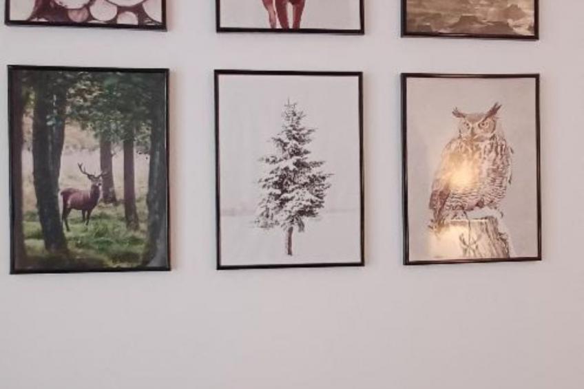 Fichtelzauber mit Sauna - foto 3