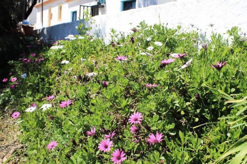 Cottage Aljezur Town - foto 26