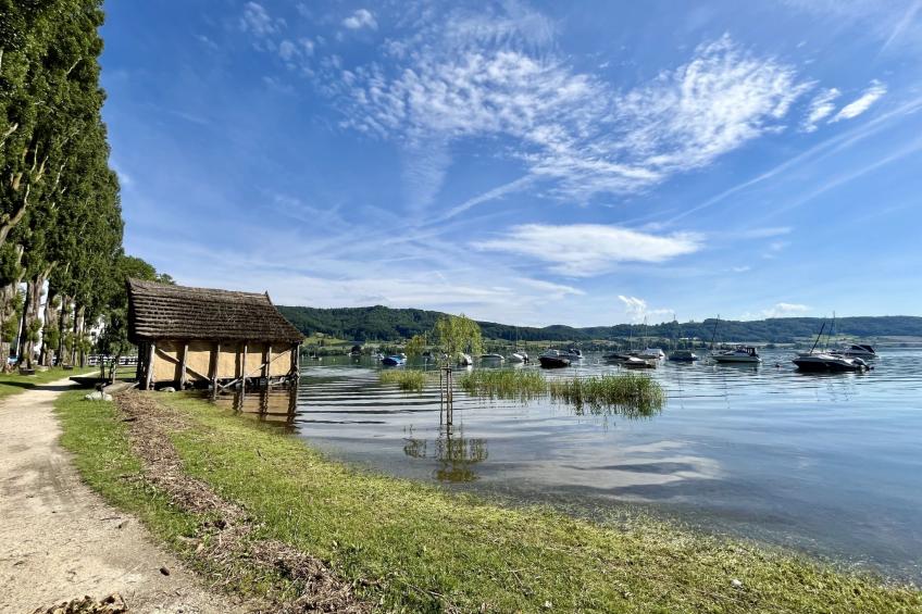Haus am See mit direktem Seeanstoss - foto 14