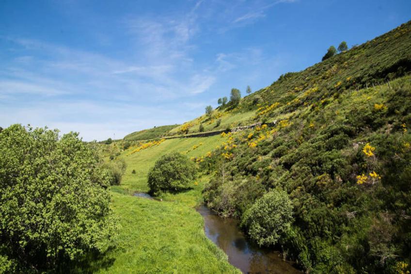 Gîte de France Gîtes de france 2/4 personnes à la peyre 2 épis - foto 12