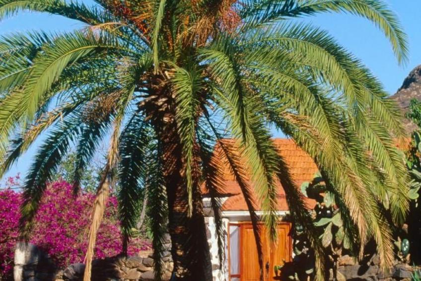 in El Risco mit Garten, Terrasse und Grill - foto 18