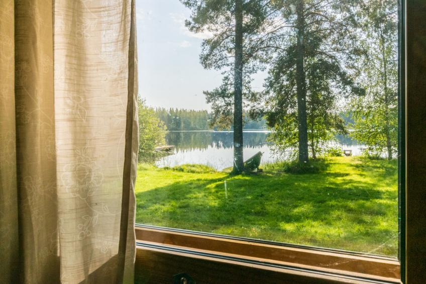 Saniainen - foto 7