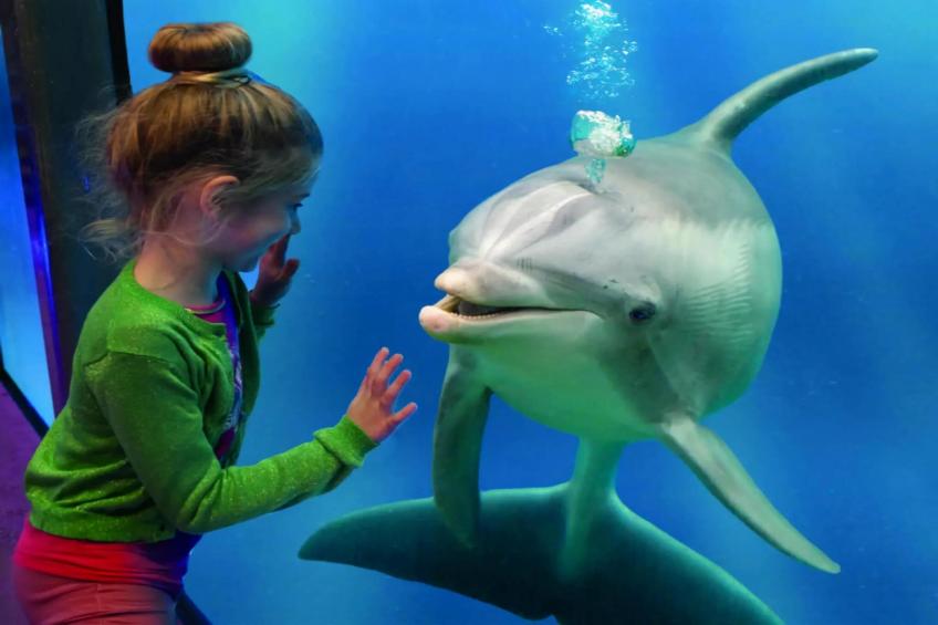 Tragel 37 Schoondijke - foto 28