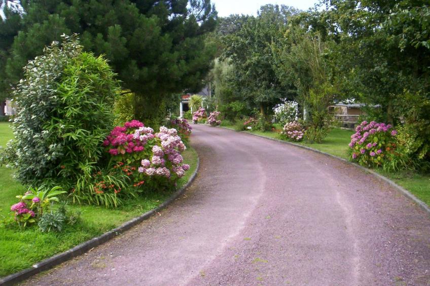 "L'Eucalyptus - foto 2