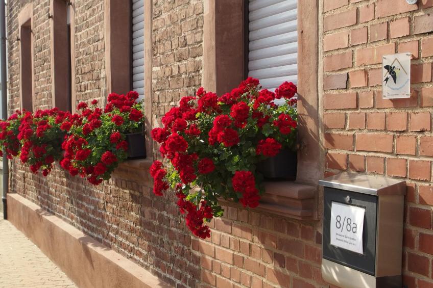 Hochwertige Ferienwohnung mit Terrasse und Garten - foto 14