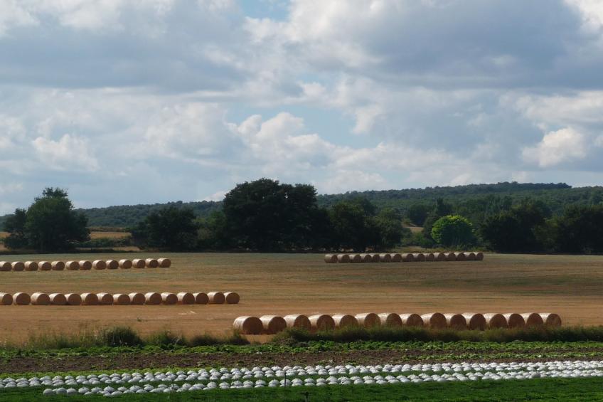 Villa Liodry - foto 21