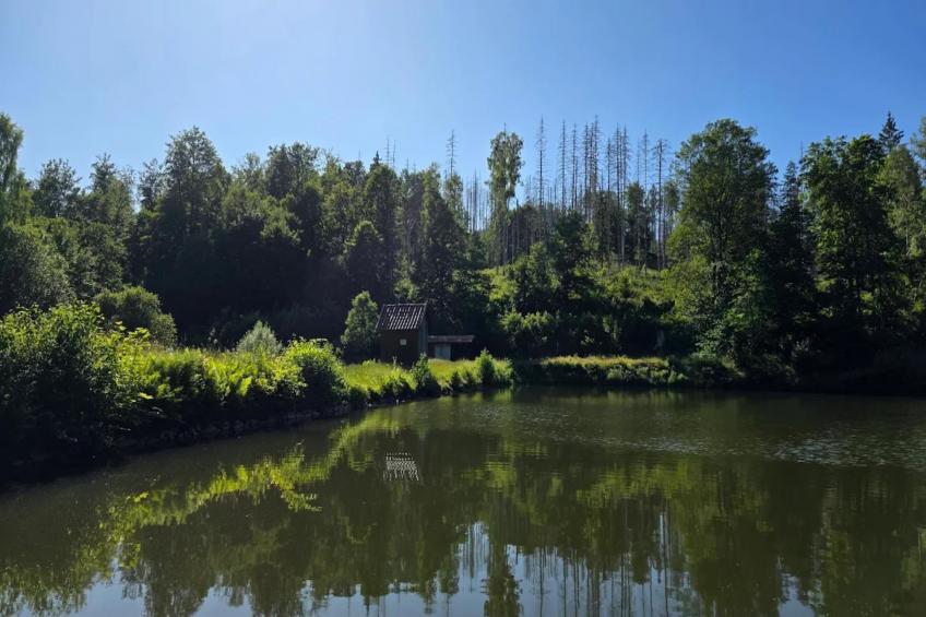 Vakantiehuis, Wieda - foto 41