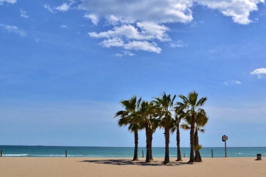 Gasthaus Villa Habana - foto 53