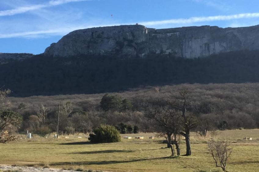 Villapark Le Jardin du Golf - foto 39