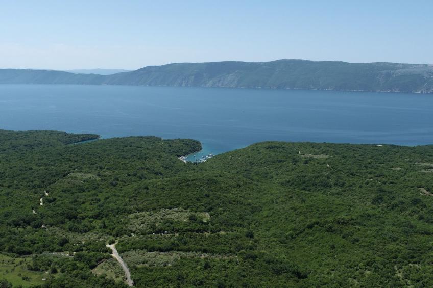 Villa Sara - foto 53