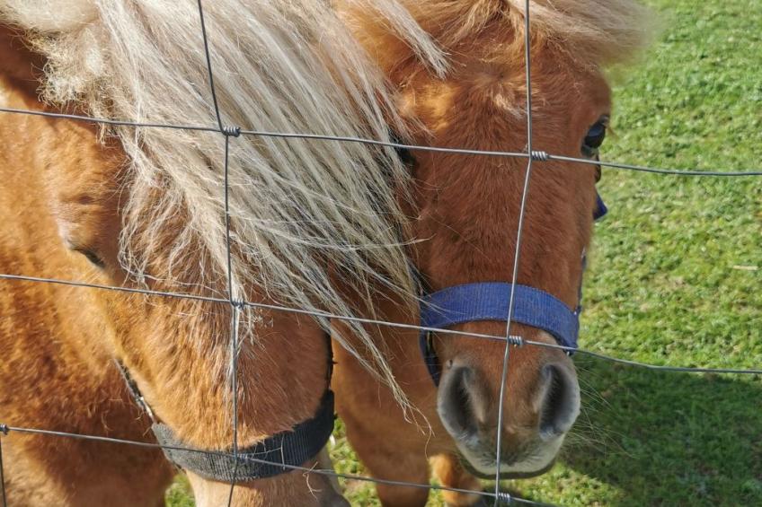 Herzfennerhof Loft - foto 25
