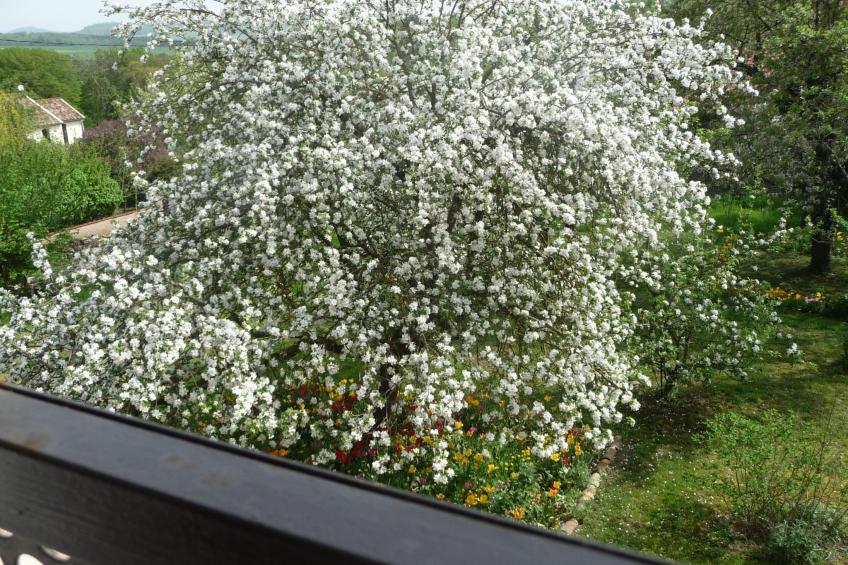 Domaine "Chez Marianne" mit Privatparkplatz - foto 11