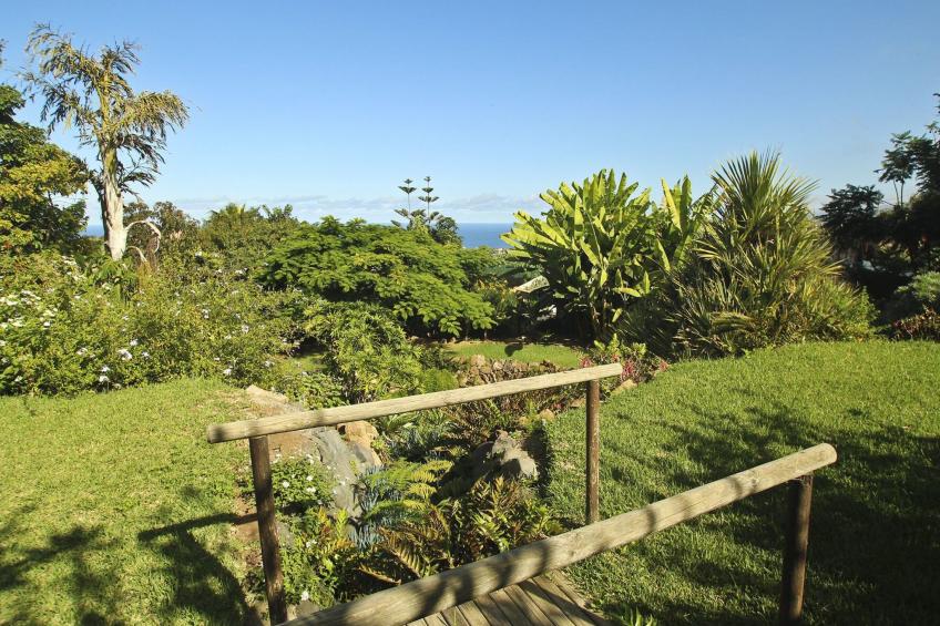 Finca Tocama - foto 20