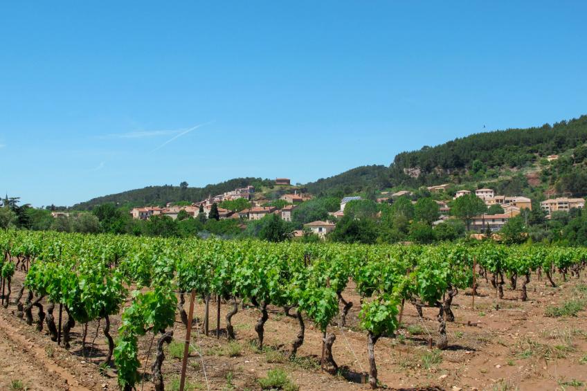 Ferienhaus mit Pool (GON100) - foto 17