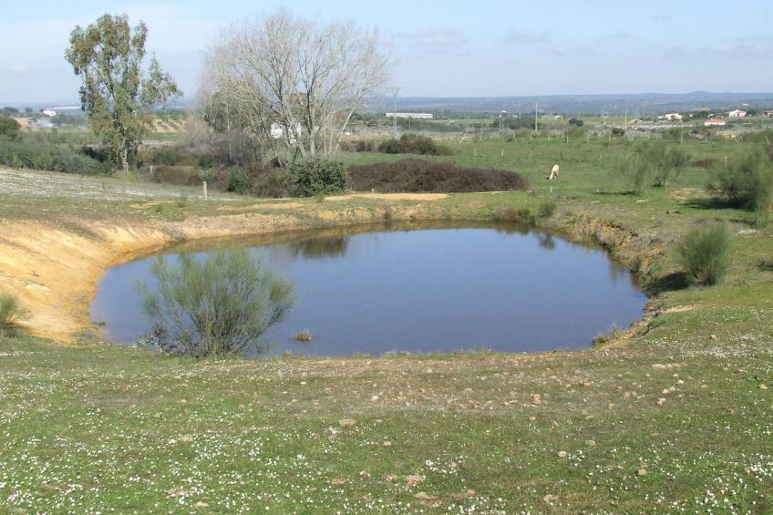 Finca "El Chorrillo" mit gemeinschaftlichem Pool - foto 26