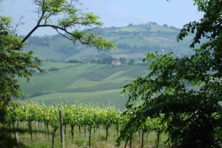 Charmante Lösung, Schwimmbad 10 Minuten vom Meer entfernt - foto 22