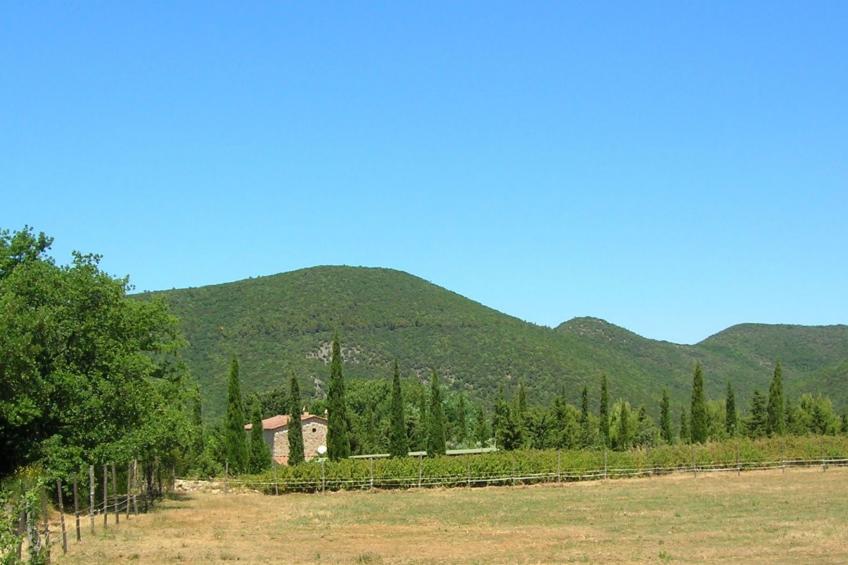Wohnung Grecale in Castellina Marittima - foto 19