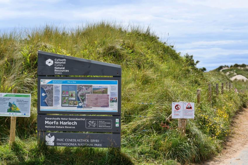 Golygfa o'r Castell - Castle Views - foto 17