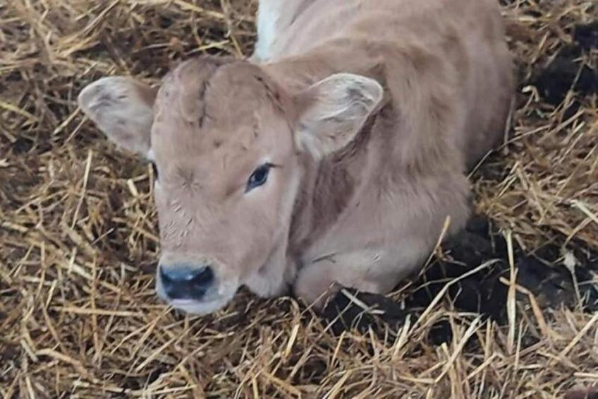 Gîte de France Gîte "la nature" 4 épis - foto 17