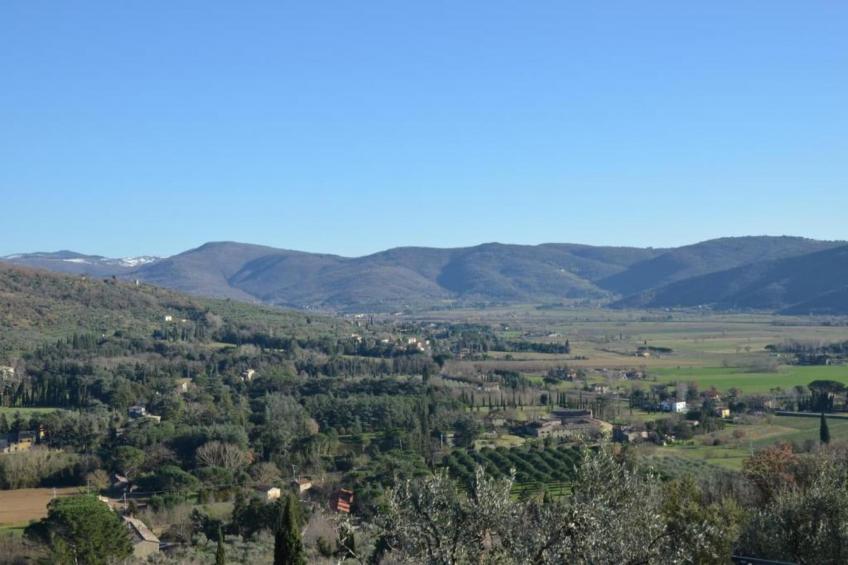 Villa Berta - foto 21