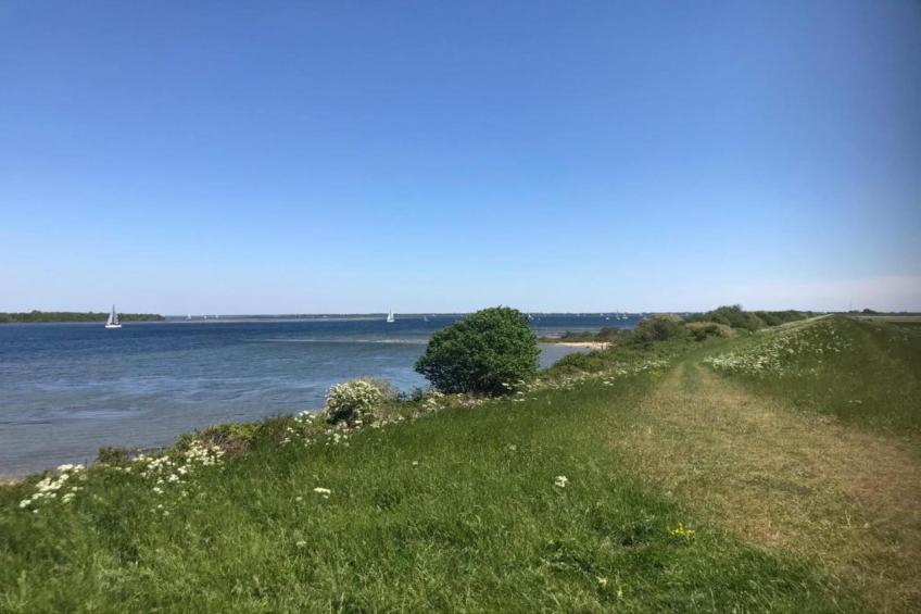 B&B de Gouwe Tijd - foto 19