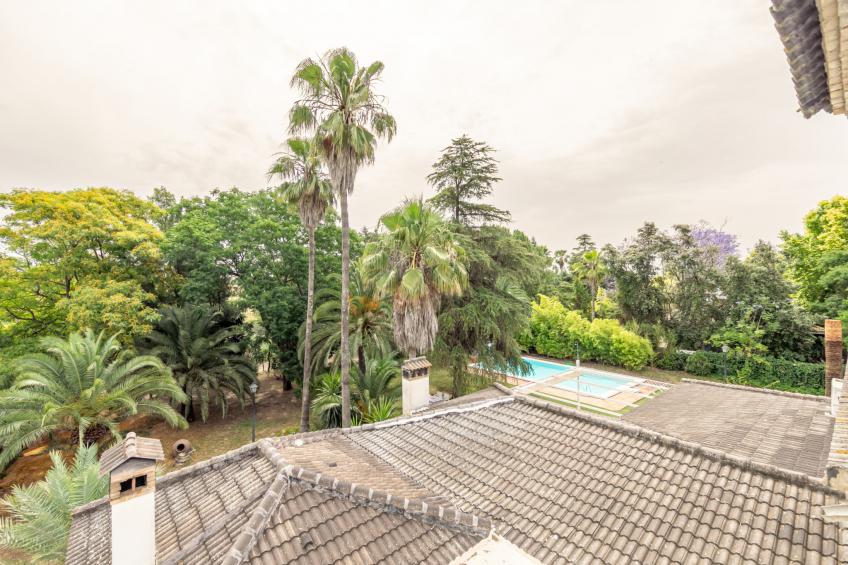 Las Codornices - foto 47