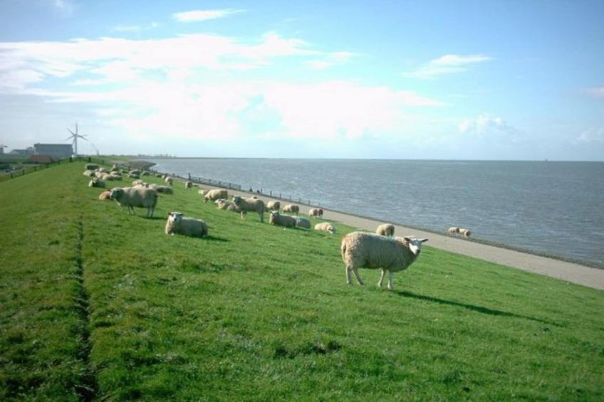 2 chalets naast elkaar - foto 29