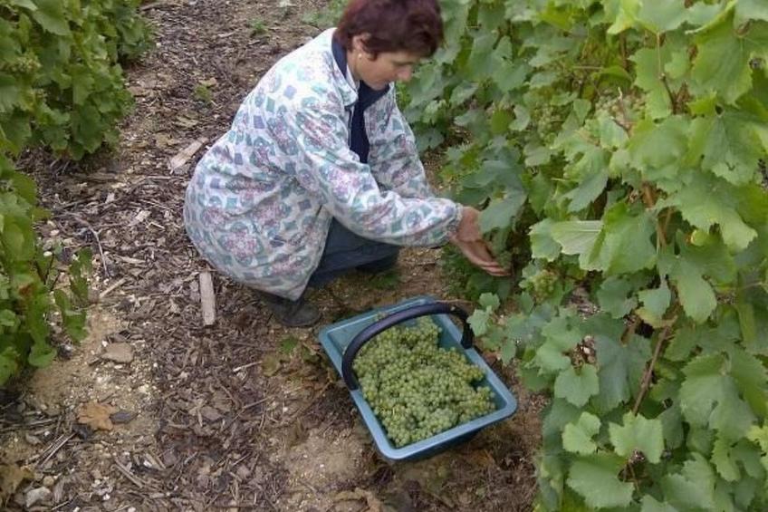 Haus im Herzen eines landwirtschaftlichen Betriebs - foto 16