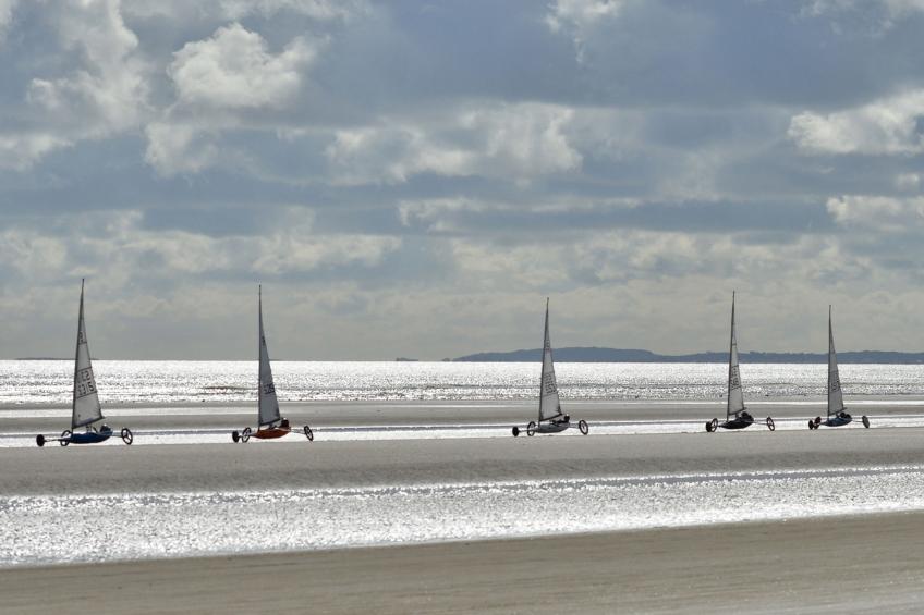 Courtyard HC No 8 - foto 14