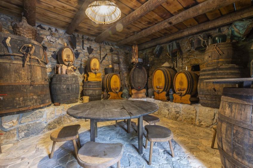 Rustical Resort Kokorići with Shared Outdoor Swimming Pool - One Bedroom Apartment with Terrace - foto 6