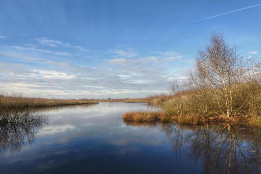 Park De Peel 1 - foto 25