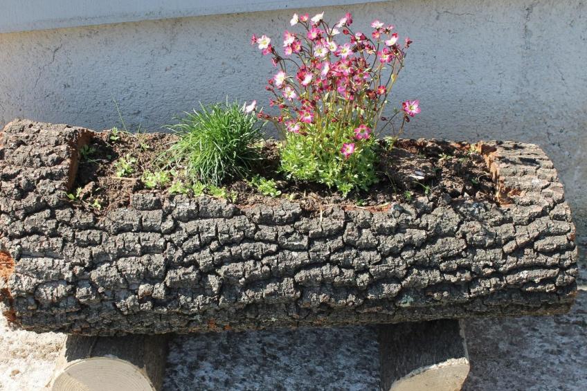 Apartment Fuma in Pinezići mit Privatem Balkon - foto 10
