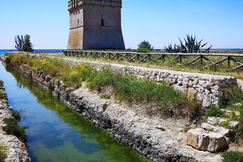 "Garden Suite" - foto 24