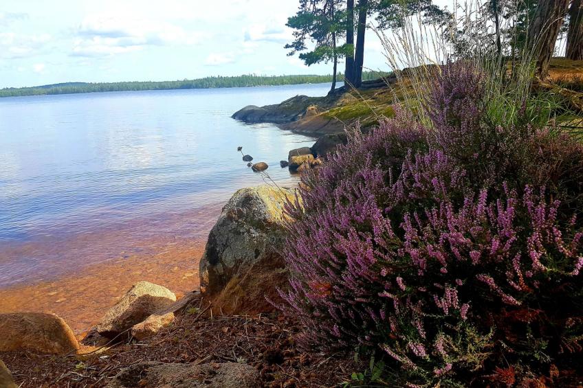 Villa Bullerbü - foto 46