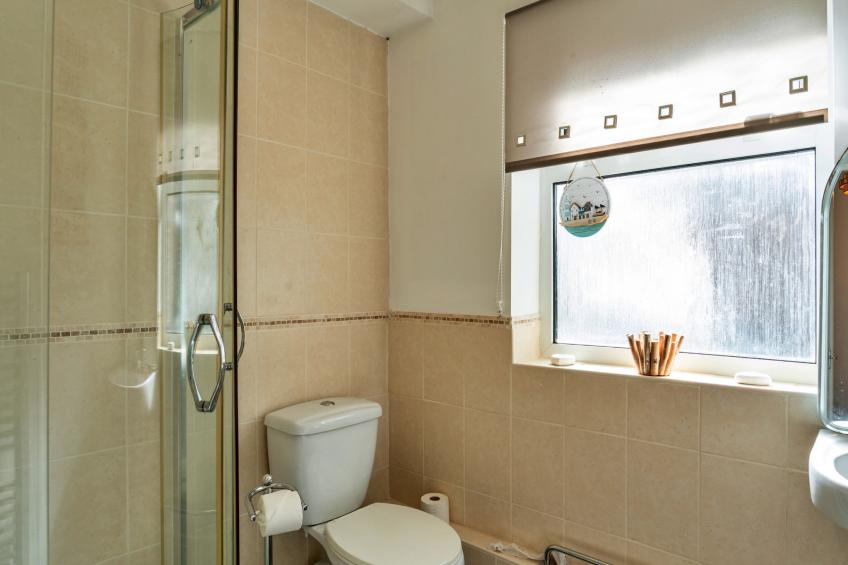 No. 5 Harlequin - foto 34