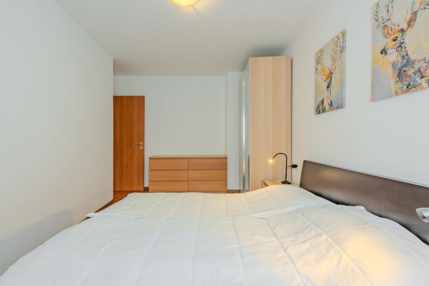 Edera - foto 11