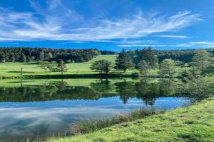 Gästehaus Hauber - foto 29