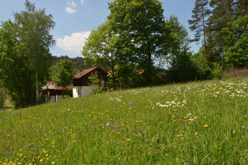 Gemütliche Wohnung in Berghäuser mit Kleinem Garten - foto 14